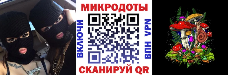 как найти Купино mega вход Псилоцибиновые грибы Psilocybe